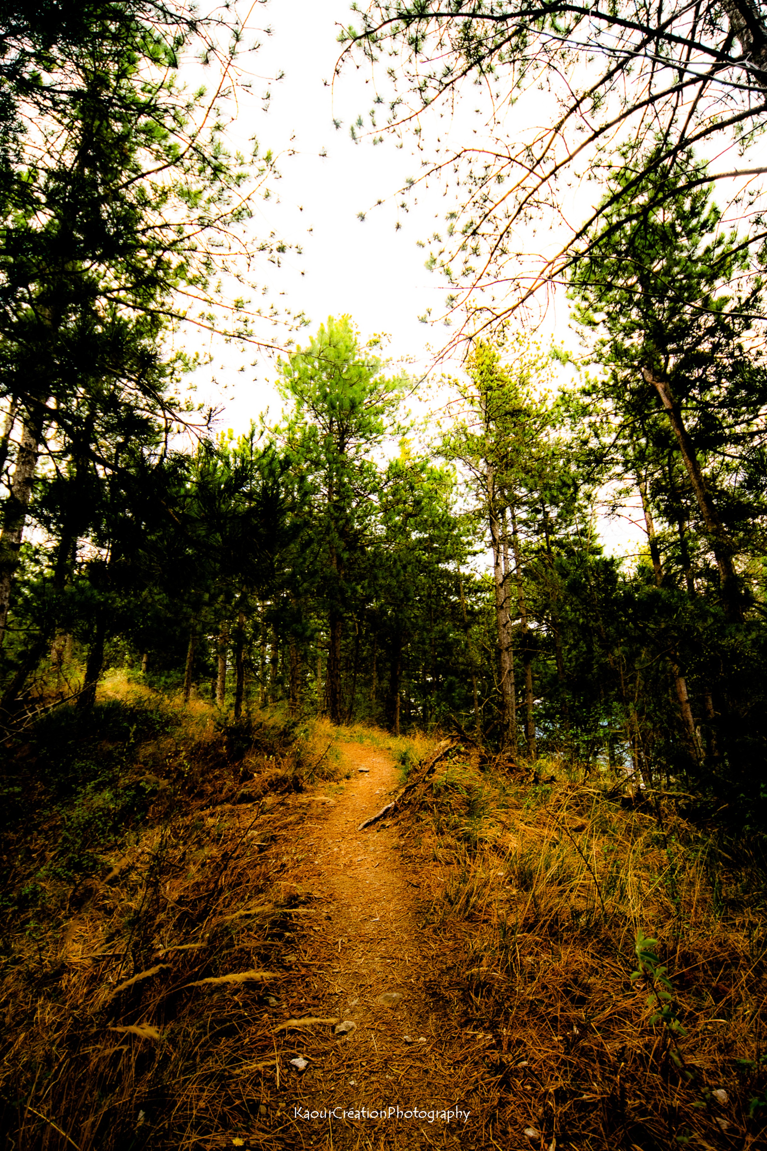 Route et distance