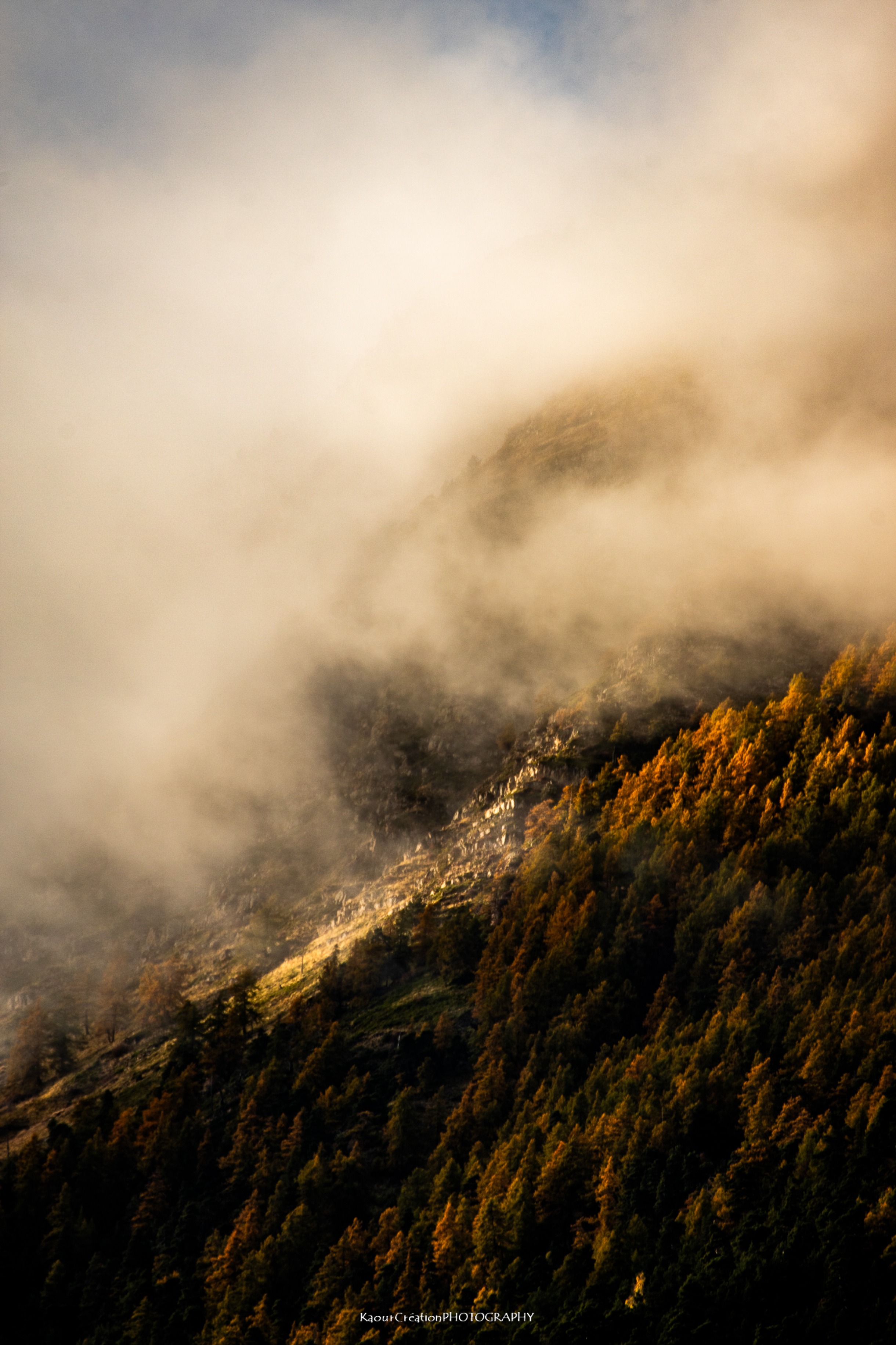 Couleur Terre