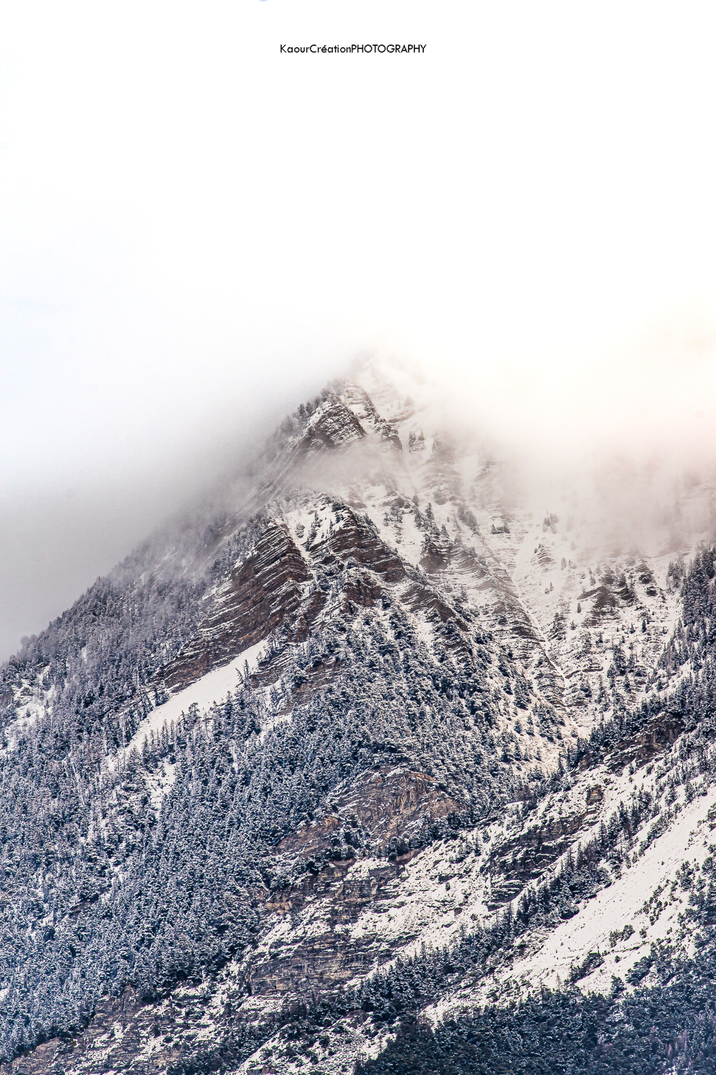 Mont